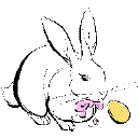 bunny