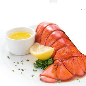 lobtail